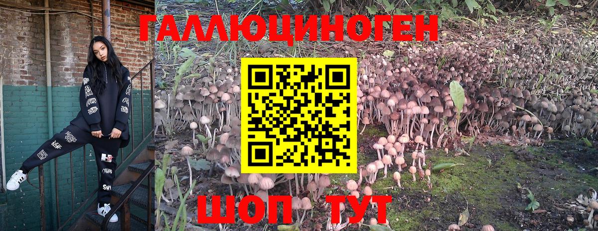 Новоуральск  Псилоцибиновые грибы GOLDEN TEACHER  Вход с VPN 