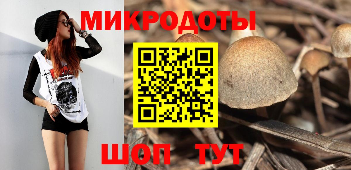Псилоцибиновые грибы мицелий Новоуральск